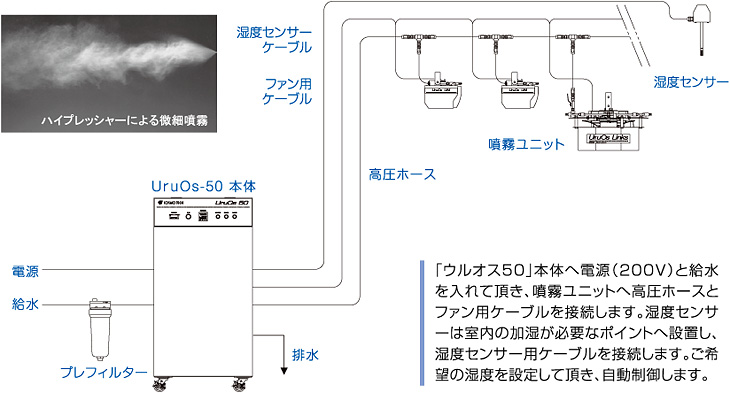 システムフロー